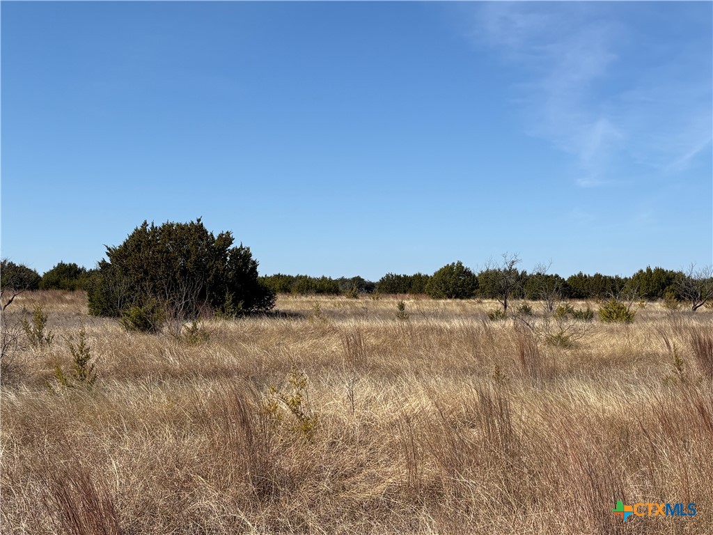 000 Monarch Lane/Shin Oak, Lampasas, TX 76550 — photo 1
