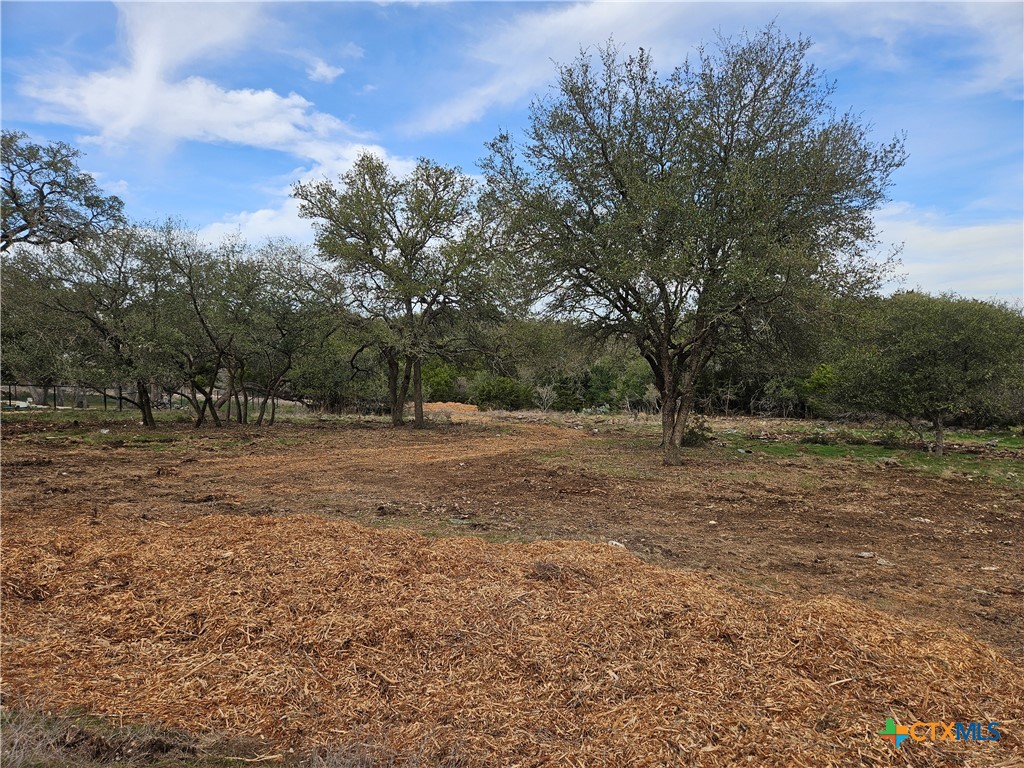 206 Falling Hills, New Braunfels, TX 78132 — photo 1