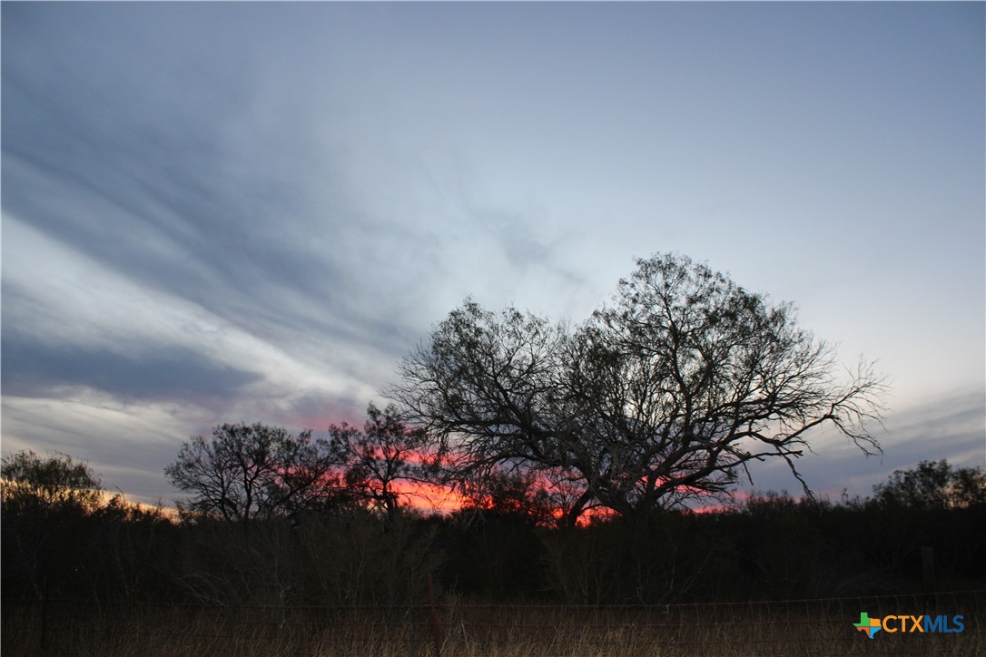 0000 CR 339, Jourdanton, TX 78026 — photo 1