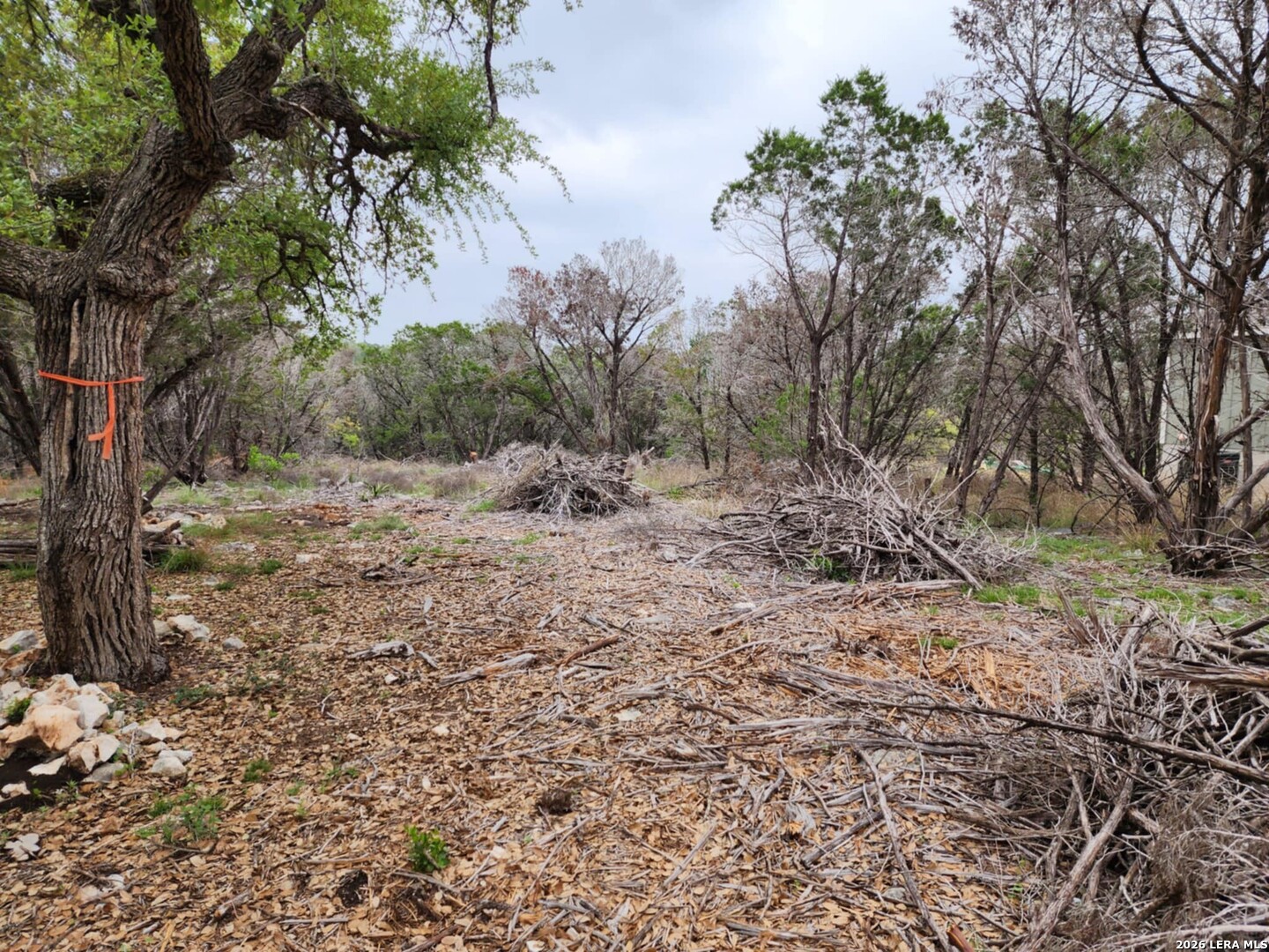 1745 Moon View, New Braunfels, TX 78132 — photo 1