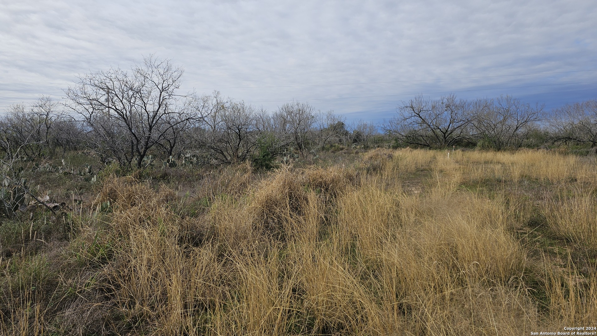 949 W Ave K Lots 3283-3285, Christine, TX 78012 — photo 1