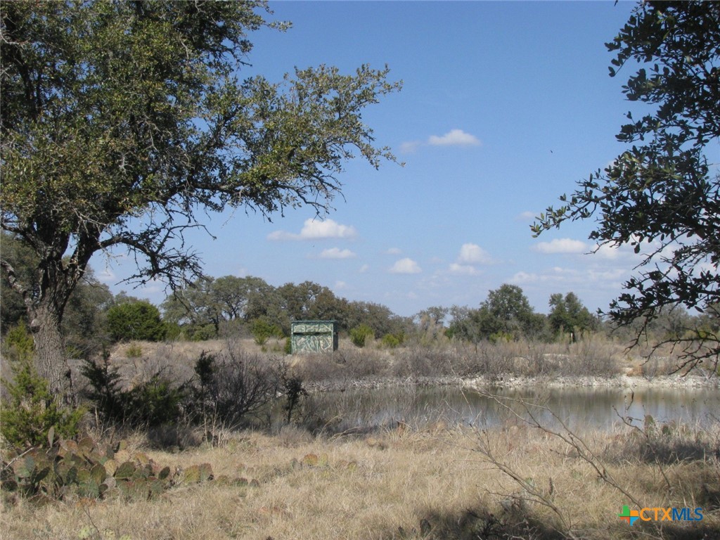 TBD FM 2842, Hamilton, TX 76531 — photo 1