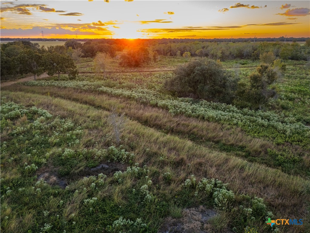 0 CR 325, Louise, TX 77455 — photo 1