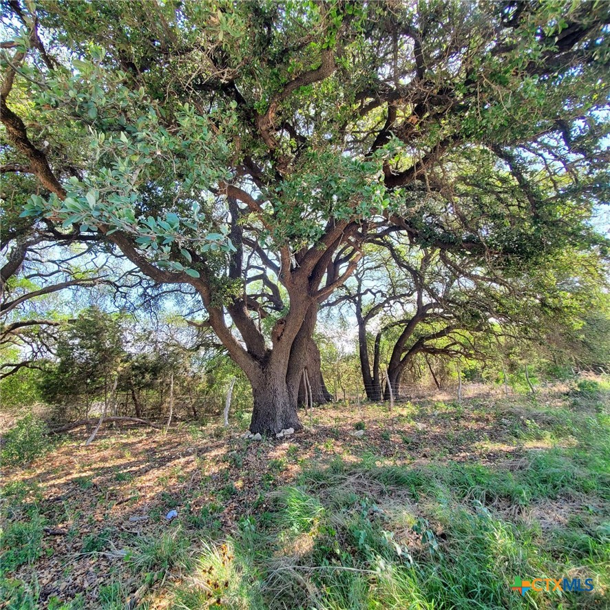 0 E US Highway 190, Kempner, TX 76539 — photo 1
