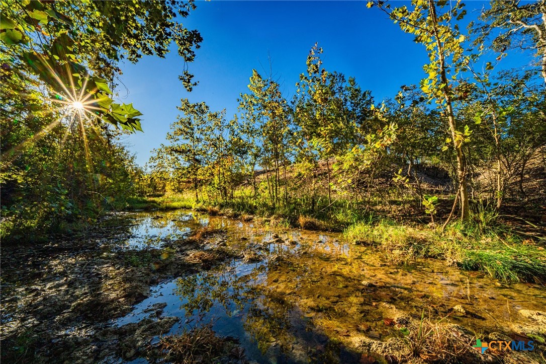 00 FM 2843, Salado, TX 76571 — photo 1