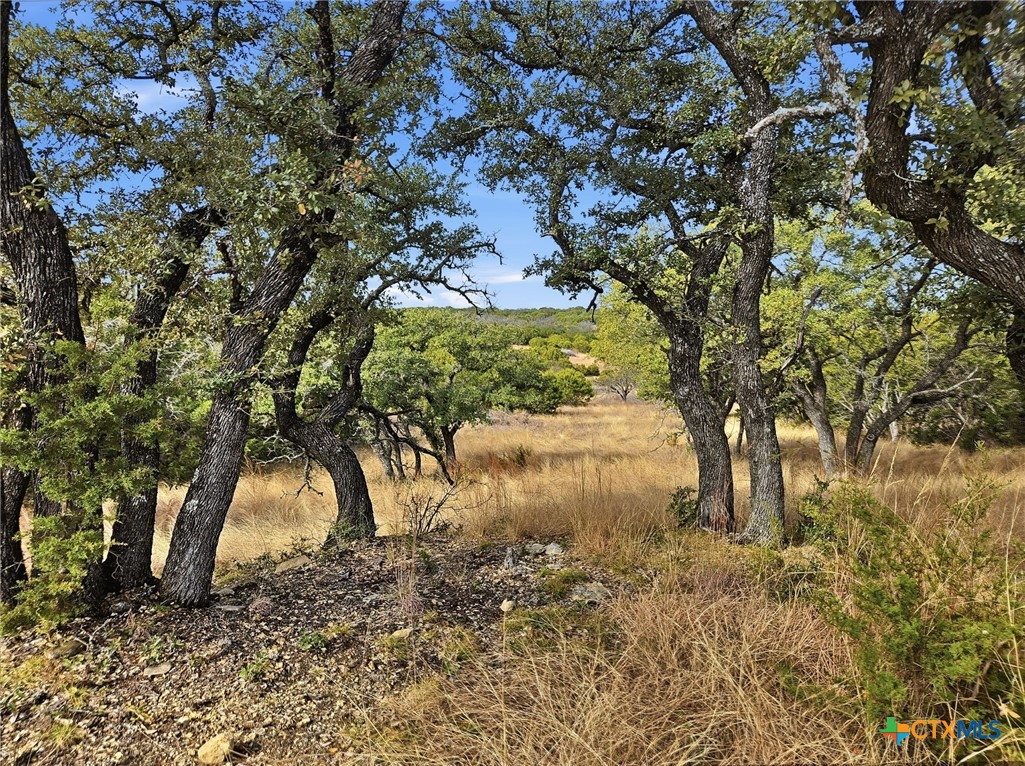 TBD County Road 162, Evant, TX 76525 — photo 1