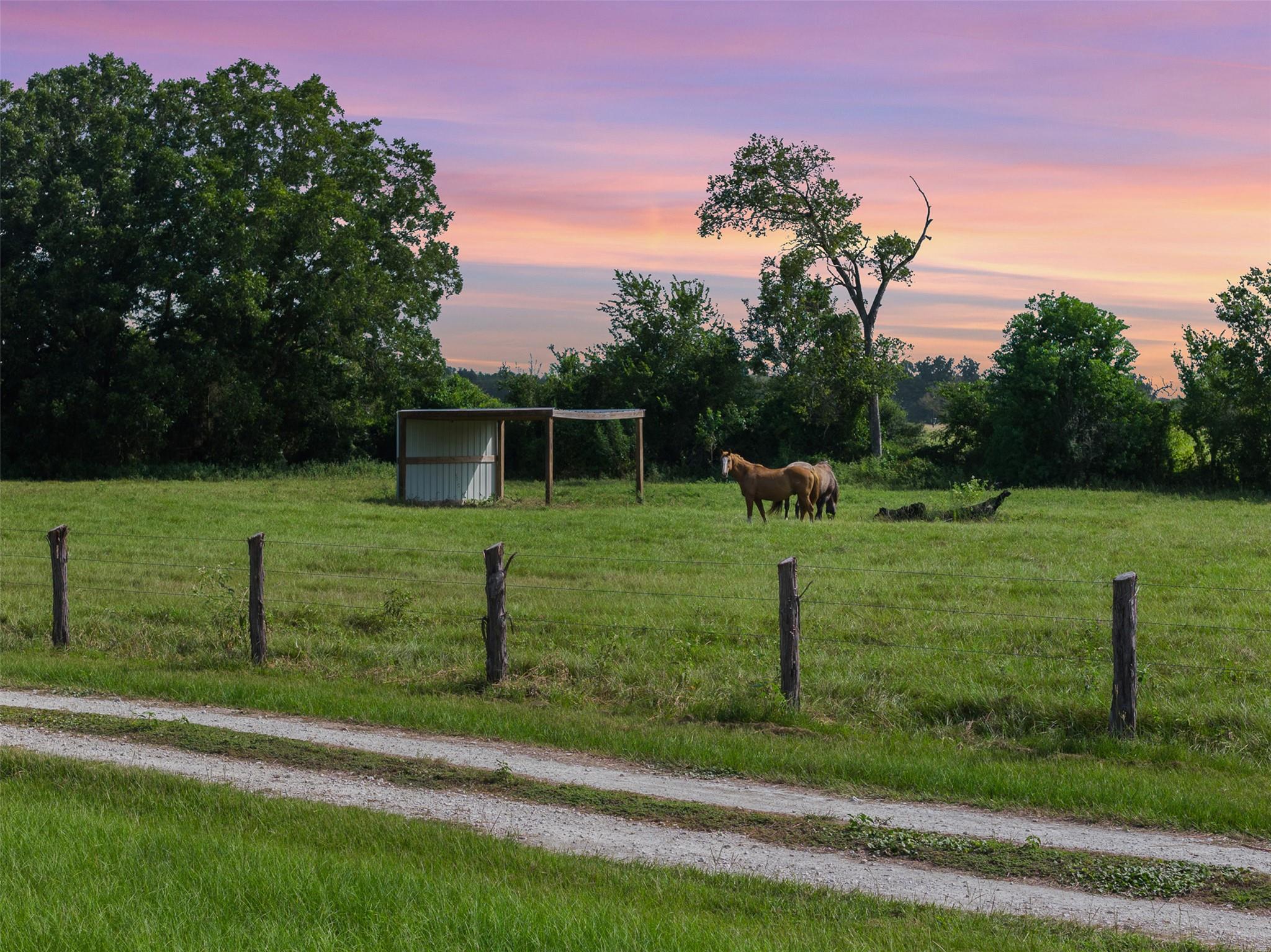 11043 County Road 336 None, Caldwell, TX 77836 — photo 1