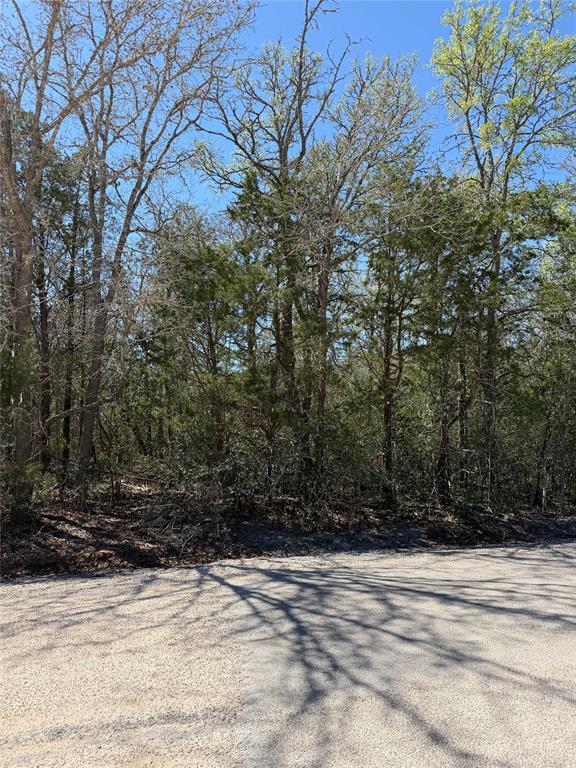 Lot 538 Iva Ln, Bastrop, TX 78602 — photo 1