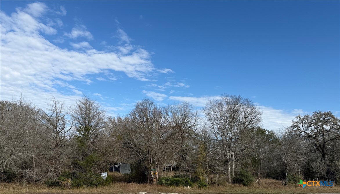 10102 US Highway 90a, Hallettsville, TX 77964 — photo 1