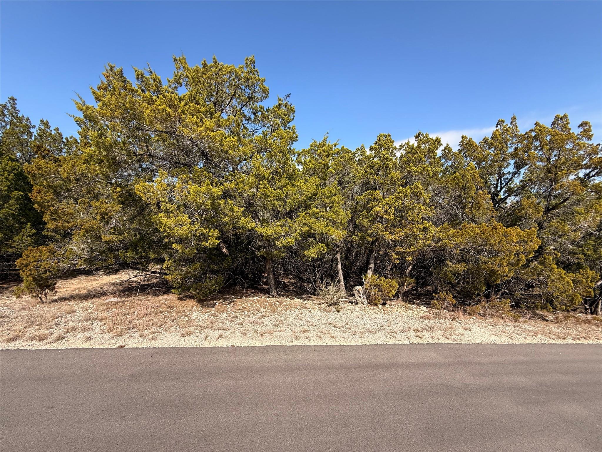20206 Lee Ln, Lago Vista, TX 78645 — photo 1
