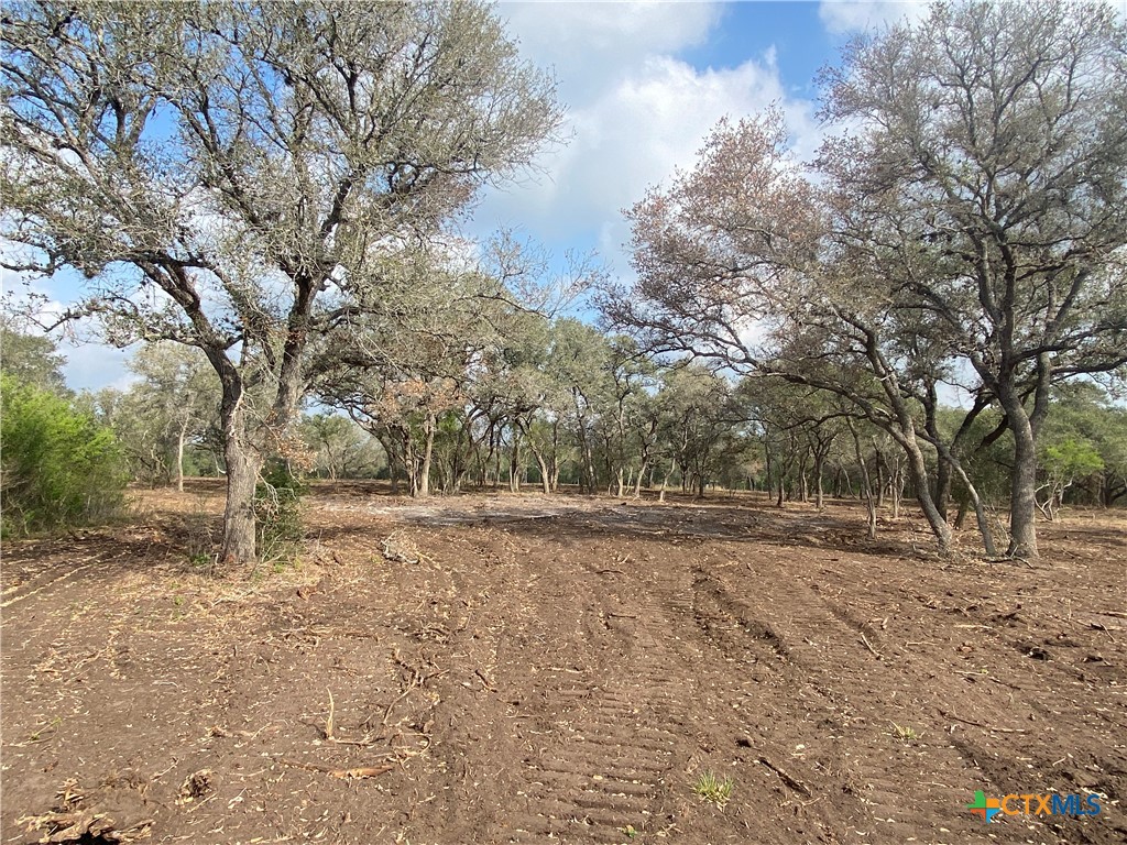 1776 FM 1351, Goliad, TX 77963 — photo 1