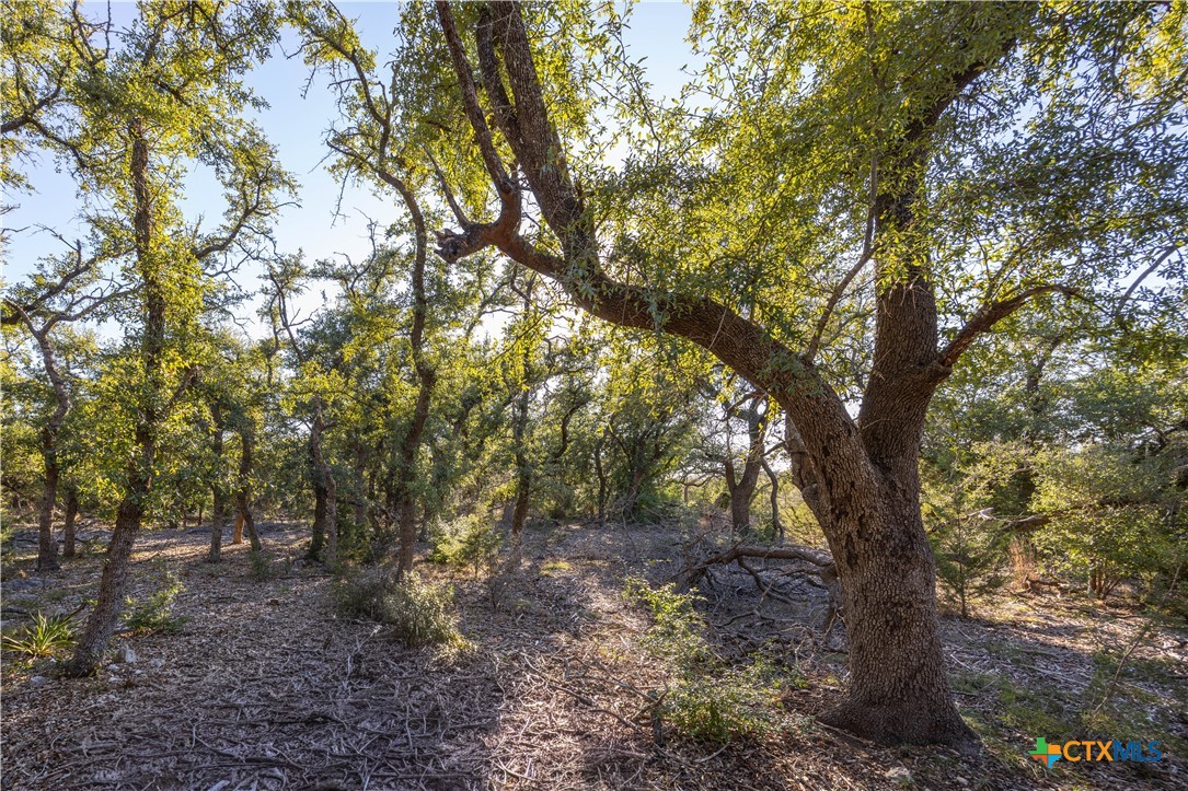 130 Panorama Drive, Wimberley, TX 78676 — photo 1