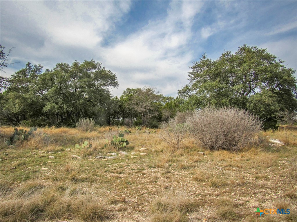 612 Private Road 4718, Kempner, TX 76539 — photo 1