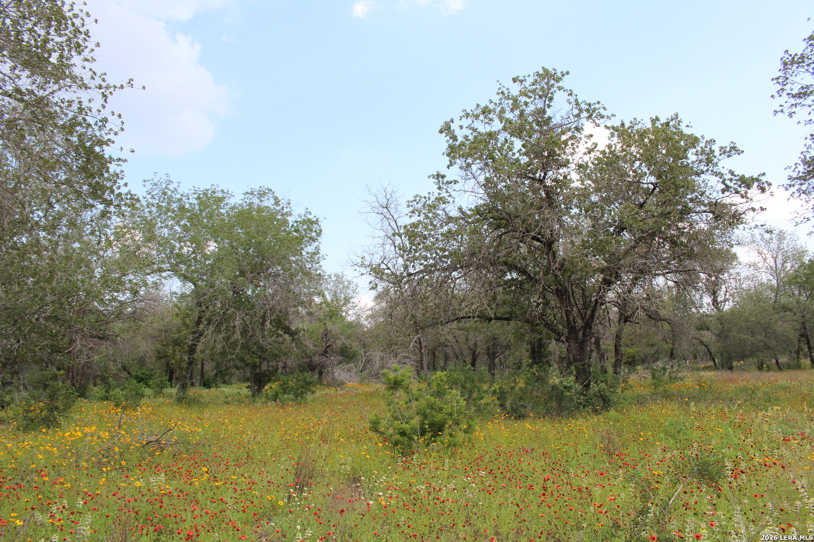 24222 Mathis, Elmendorf, TX 78112 — photo 1