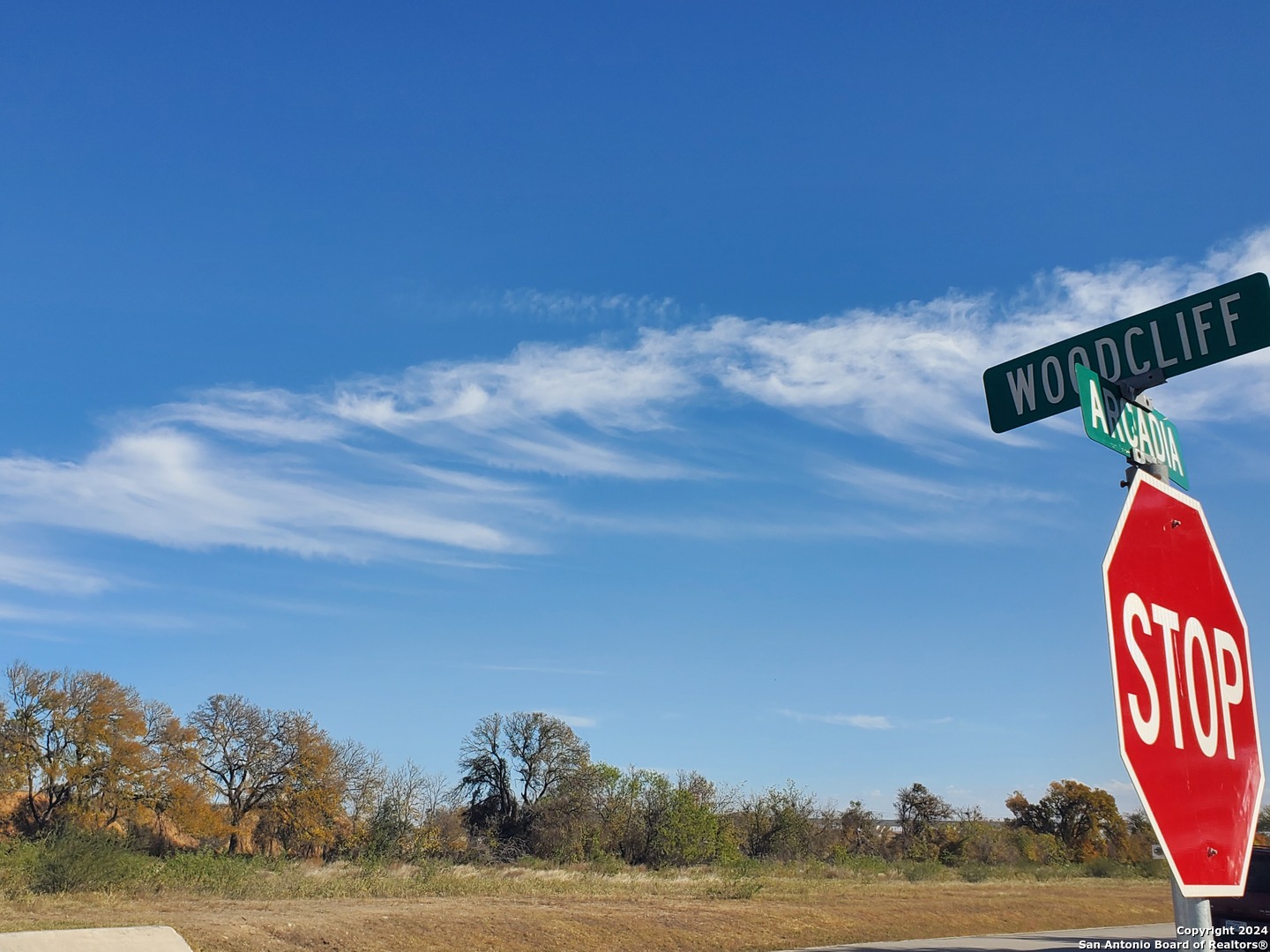 Woodcliffe, Selma, TX 78154 — photo 1
