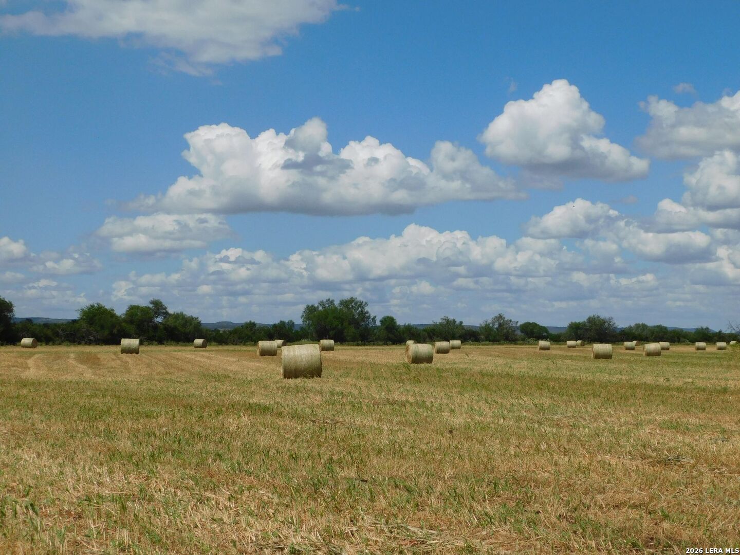 10566 Texas 127, Sabinal, TX 78881 — photo 1