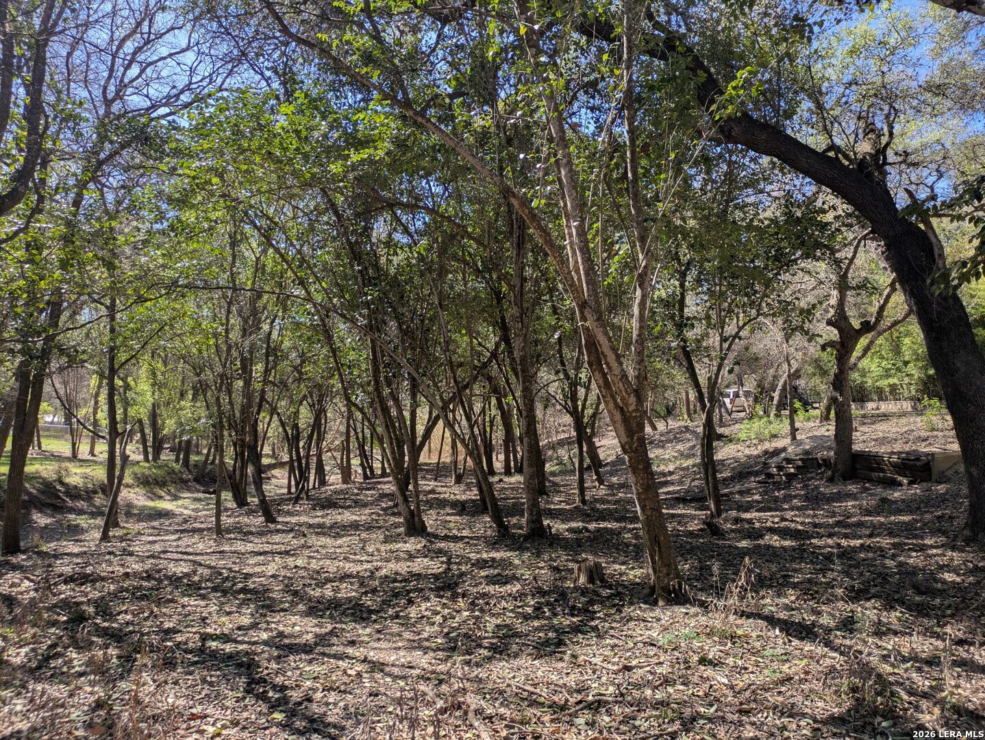 19612 GREENHILL, Helotes, TX 78023 — photo 1