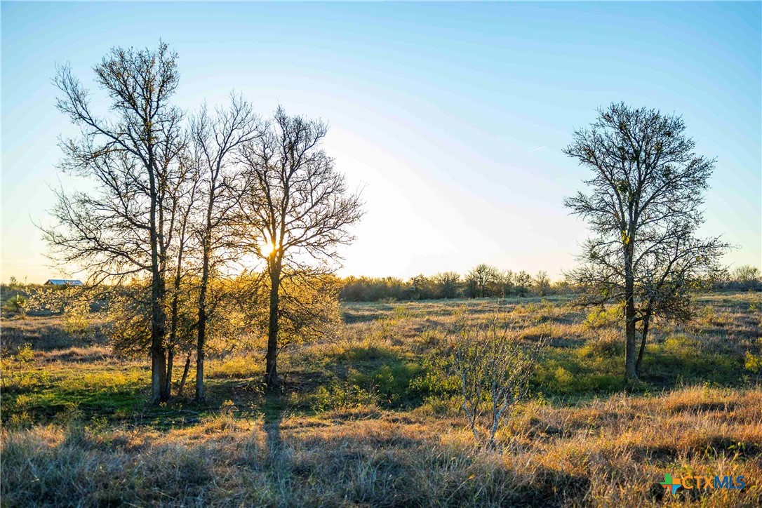 3191 County Road 463, Elgin, TX 78621 — photo 1