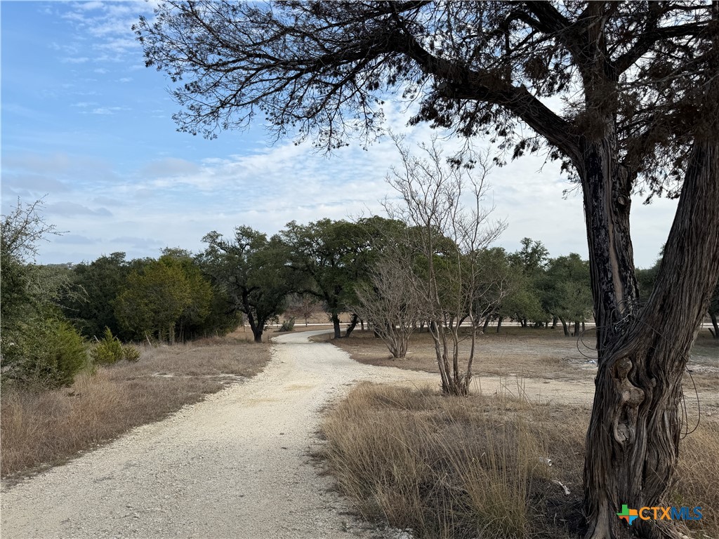 1775 Oak Meadows, Canyon Lake, TX 78133 — photo 1