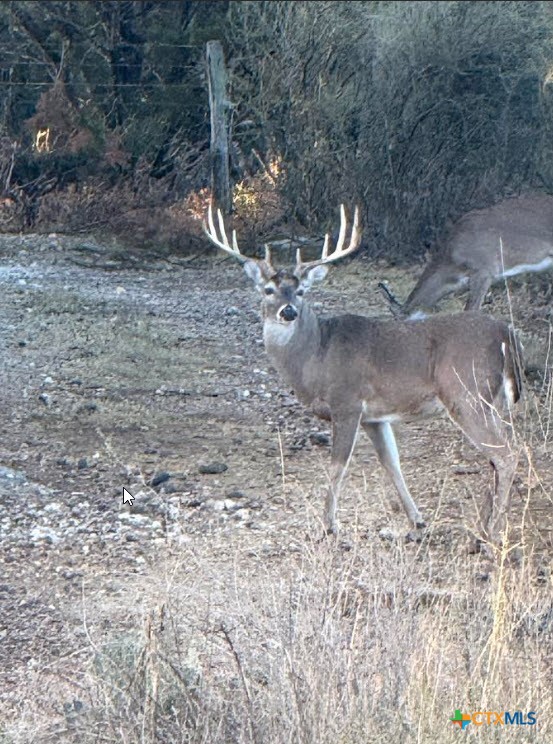 1218 Private Road 1377, Lampasas, TX 76550 — photo 1