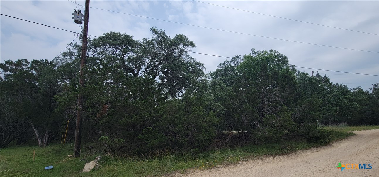 1391 Covered Wagon, Spring Branch, TX 78070 — photo 1