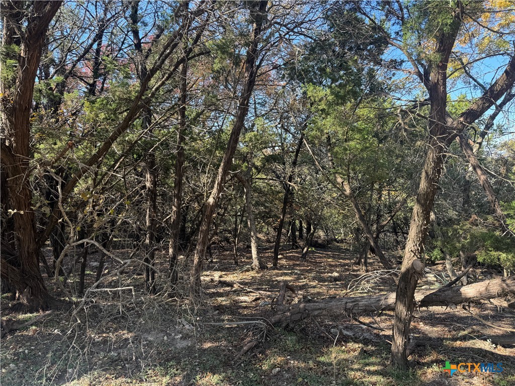 5982 Buggy Ride Road, Temple, TX 76502 — photo 1