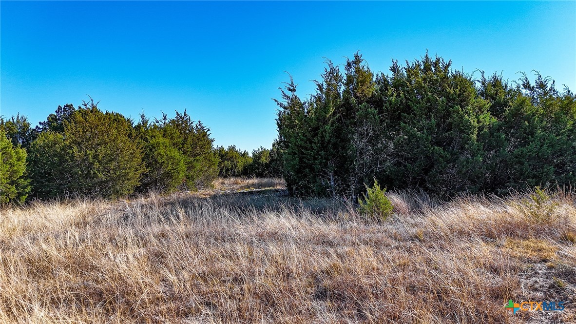 Lot 19 Homestead Drive, Lampasas, TX 76550 — photo 1