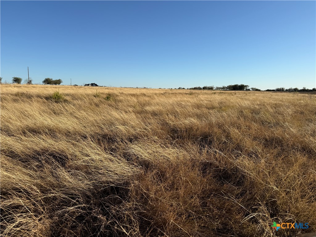 No # CR 225, Valley Mills, TX 76689 — photo 1