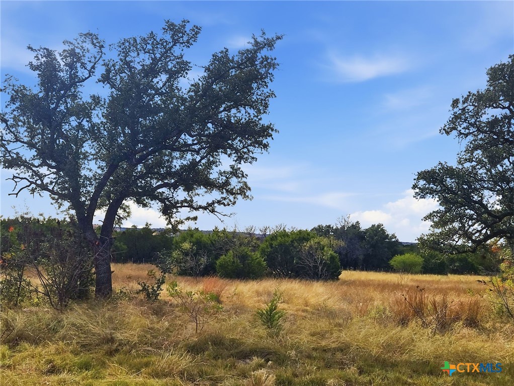 Lot 25 & 26 Ph 4 PR 4212, Evant, TX 76525 — photo 1