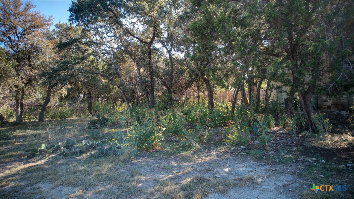 1042 Janet Drive, Canyon Lake, TX 78133 — photo 1
