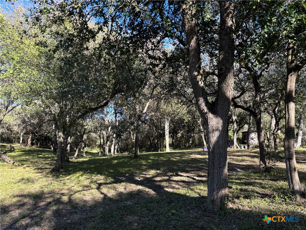 2168 River Oaks, Skidmore, TX 78164 — photo 1