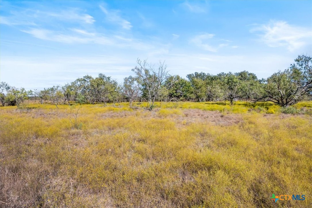 TBD-82.6 Acres Farm Market 221, Hamilton, TX 76531 — photo 1