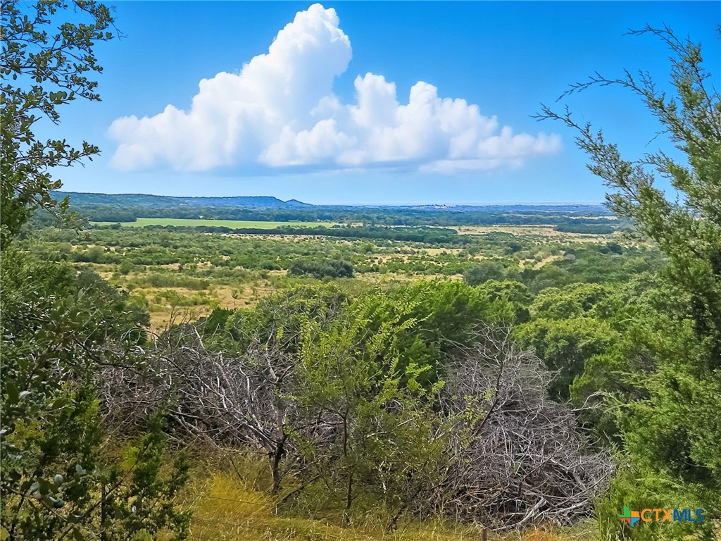 TBD-482 Acres W Fm 217, Jonesboro, TX 76538 — photo 1