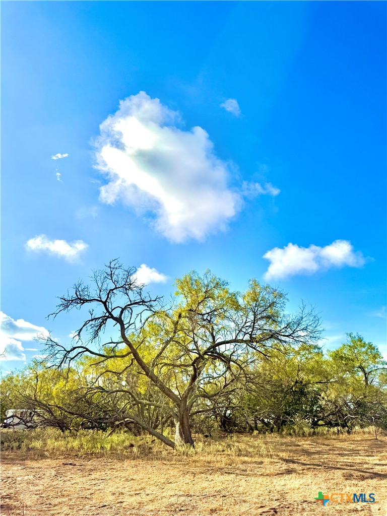 6052 TENNY CREEK RD, Luling, TX 78648 — photo 1