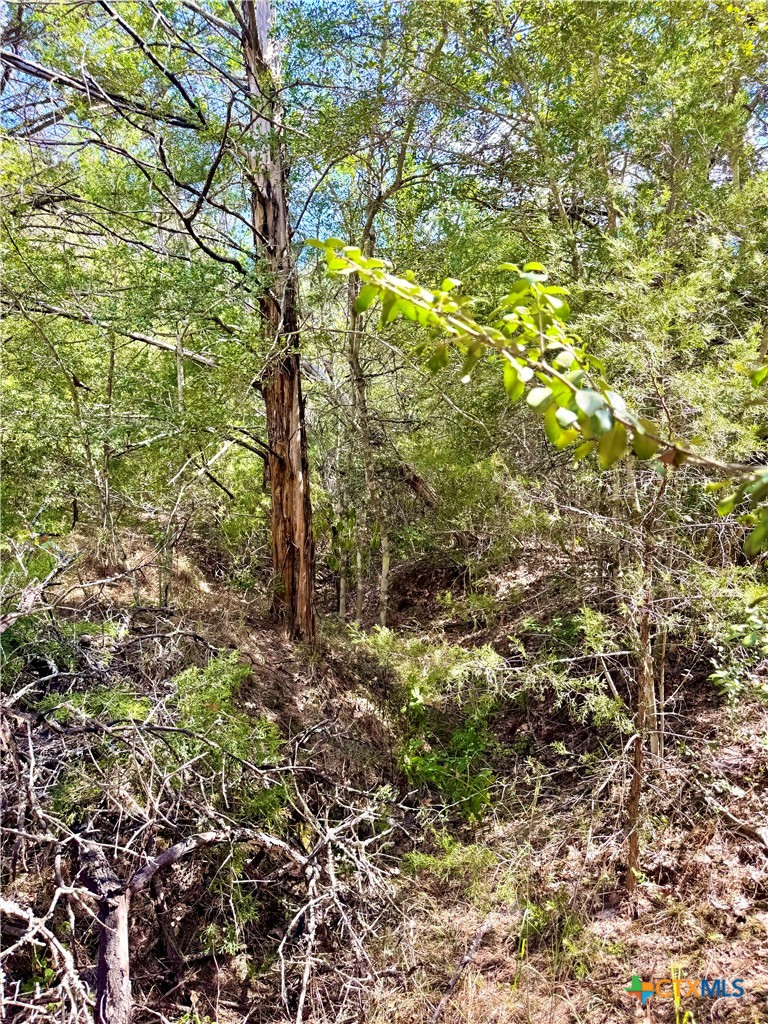 TBD Rabel Road, Rosanky, TX 78953 — photo 1