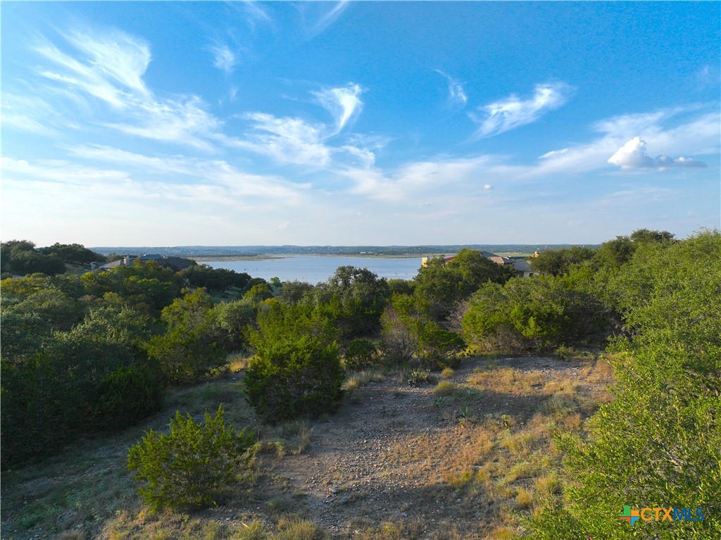 401 Scarlet Court, Canyon Lake, TX 78133 — photo 1