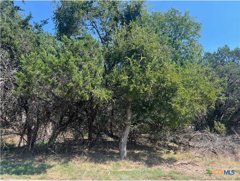 Lot 0010 Teakwood Loop, Morgans Point Resort, TX 76513 — photo 1
