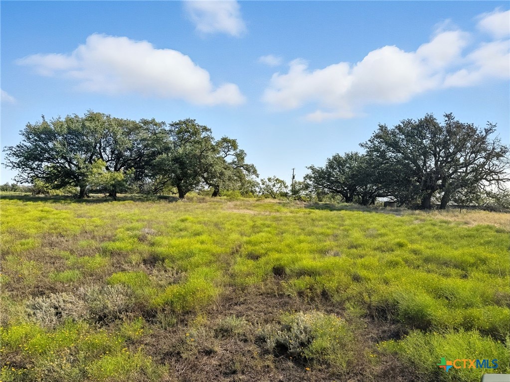 TBD Farm Road 221, Hamilton, TX 76565 — photo 1