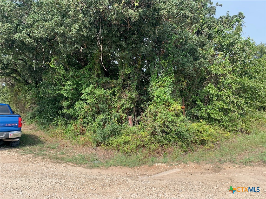 TBD Cr 414, Chilton, TX 76632 — photo 1