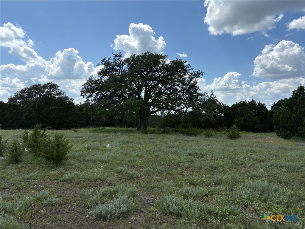 TBD Deer Run Court, Evant, TX 76525 — photo 1