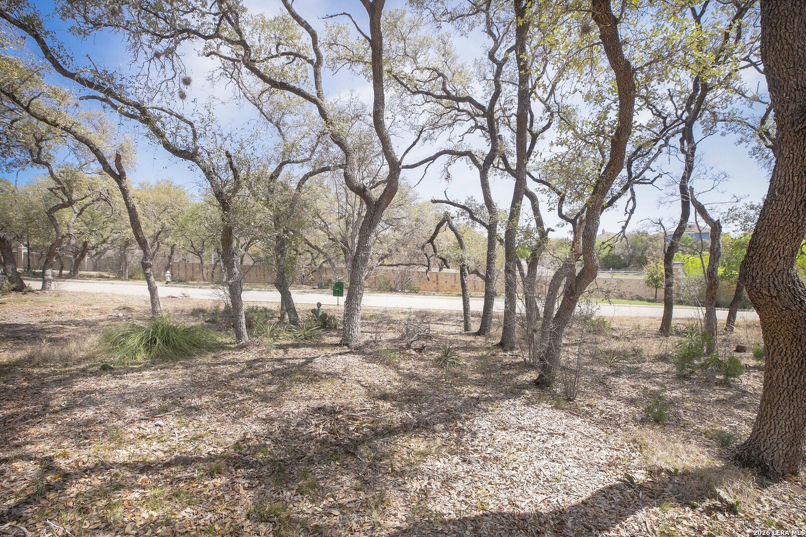 79 Percival, San Antonio, TX 78230 — photo 1