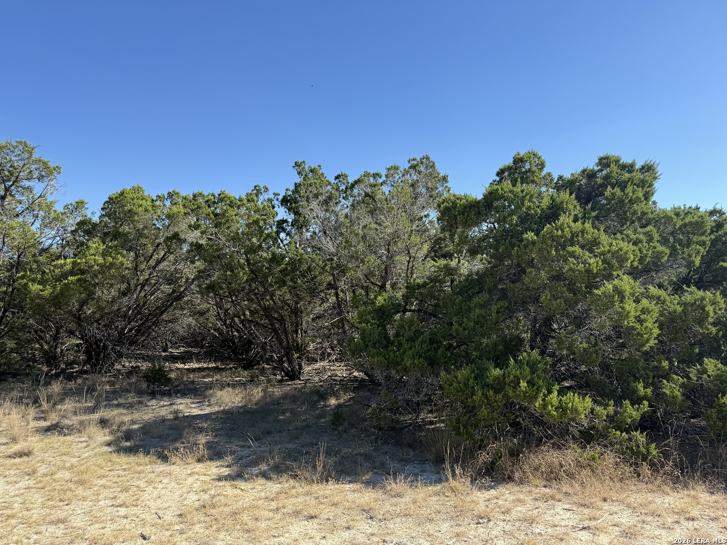 LOT 90 Deer Creek, Spring Branch, TX 78070 — photo 1
