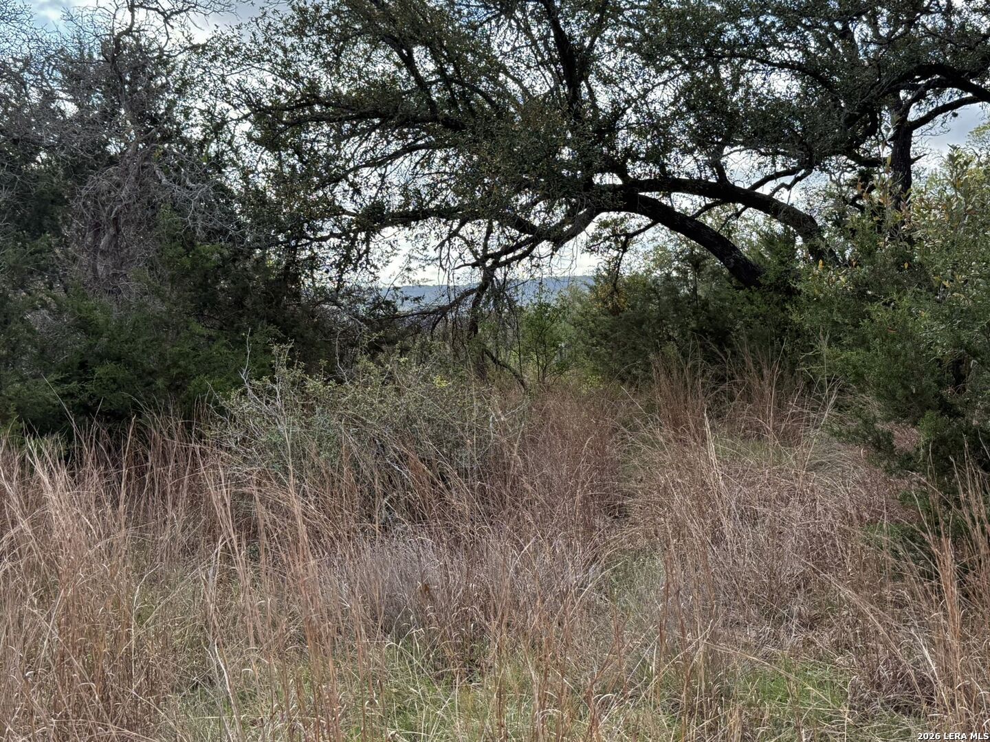L28 Lipan Apache Run, Blanco, TX 78606 — photo 1