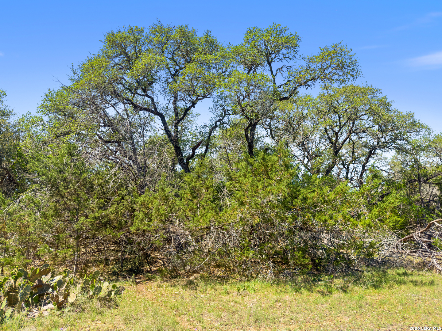 1530 Misty Lane, Spring Branch, TX 78070 — photo 1