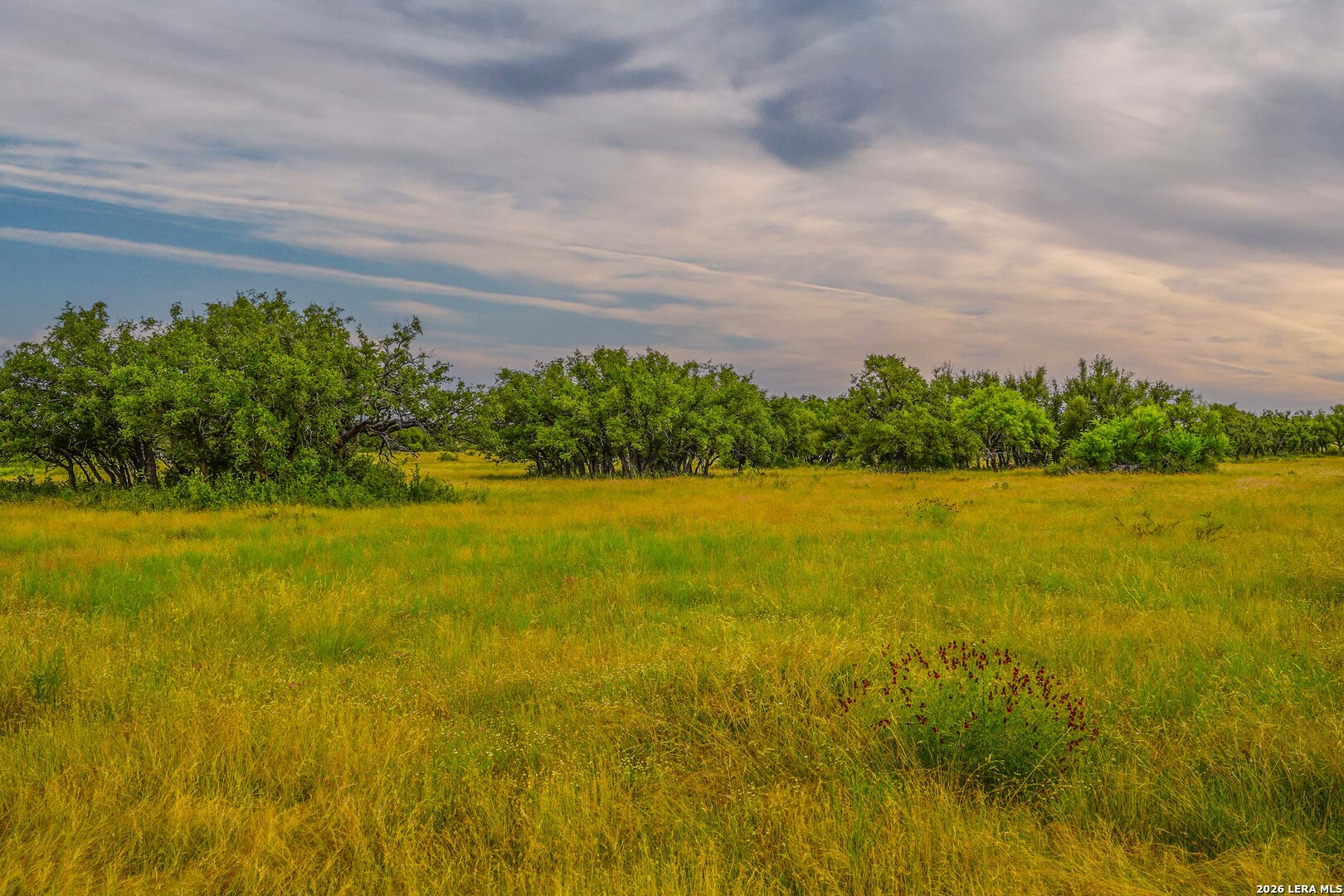 Treadwell Ln, Menard, TX 76859 — photo 1
