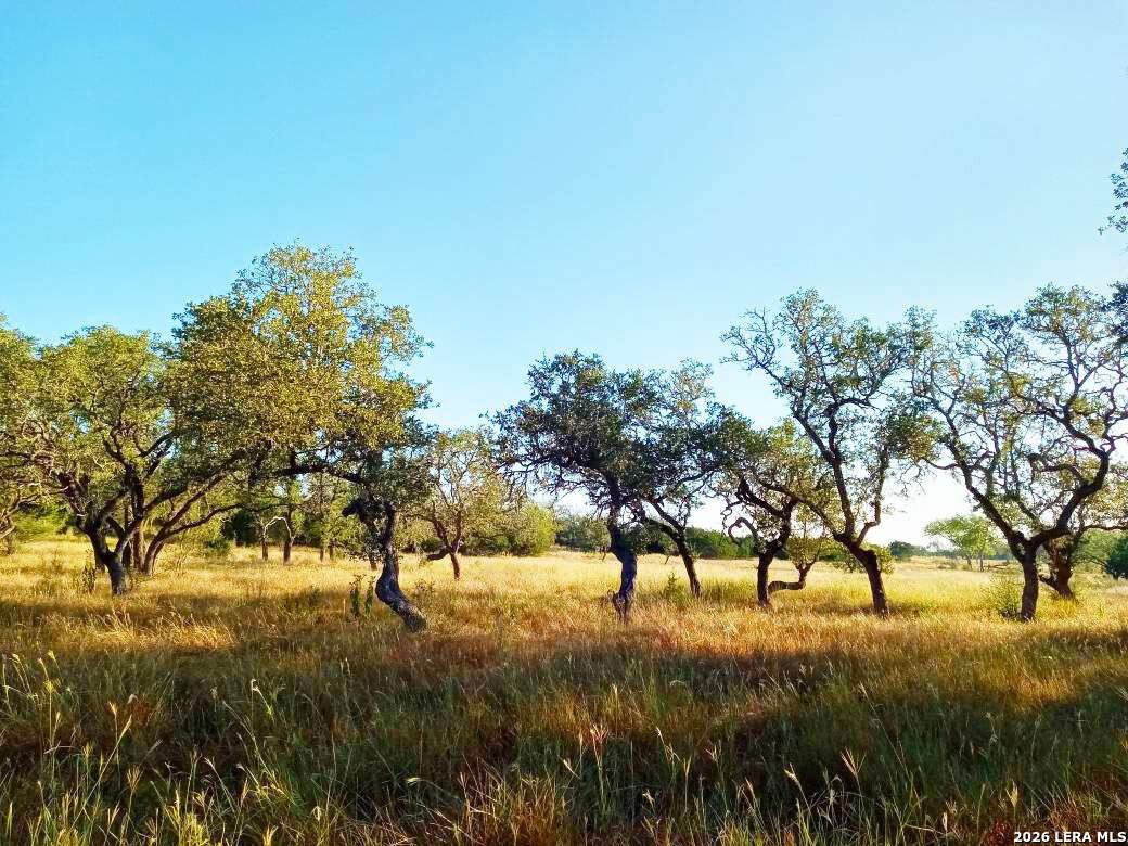 246 Mulder DR, Center Point, TX 78010 — photo 1