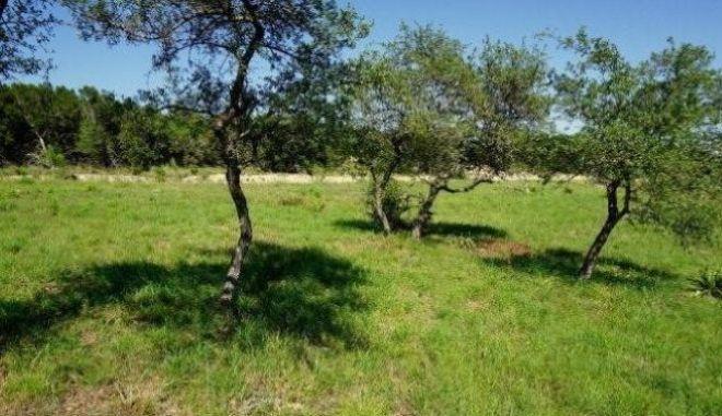 124 Sendera Way, Canyon Lake, TX 78133 — photo 1
