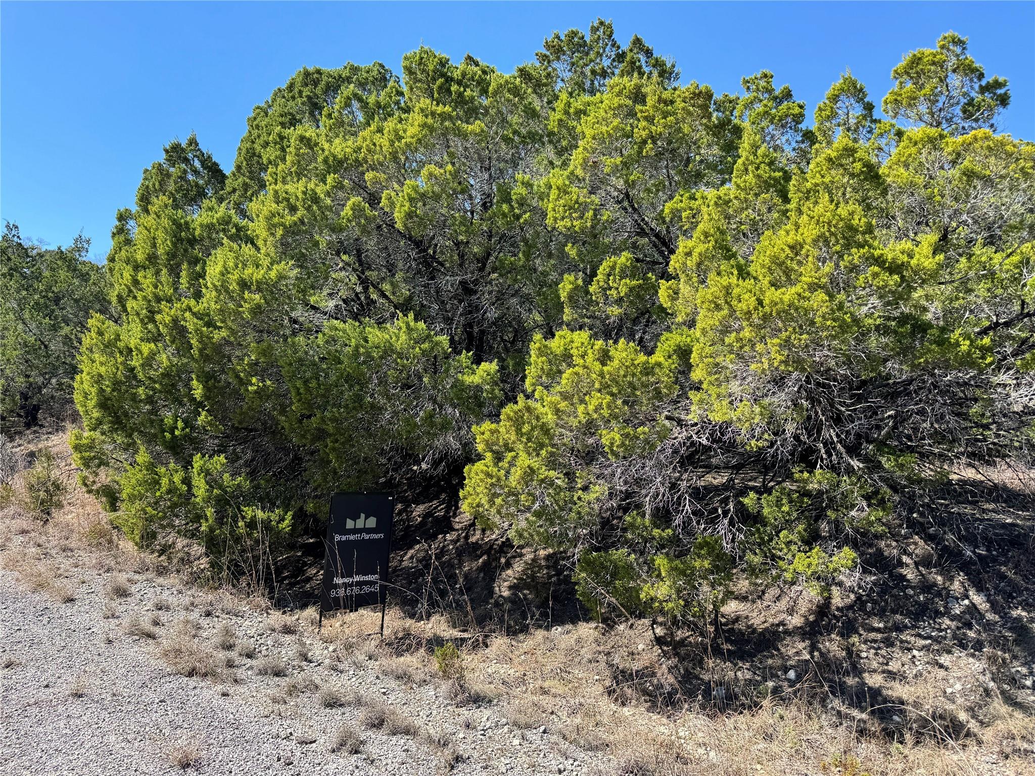8700  Tegua Cv, Lago Vista, TX 78645 — photo 1