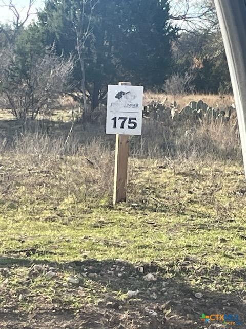 Lot 175 Heartleaf Drive, Lampasas, TX 76550 — photo 1