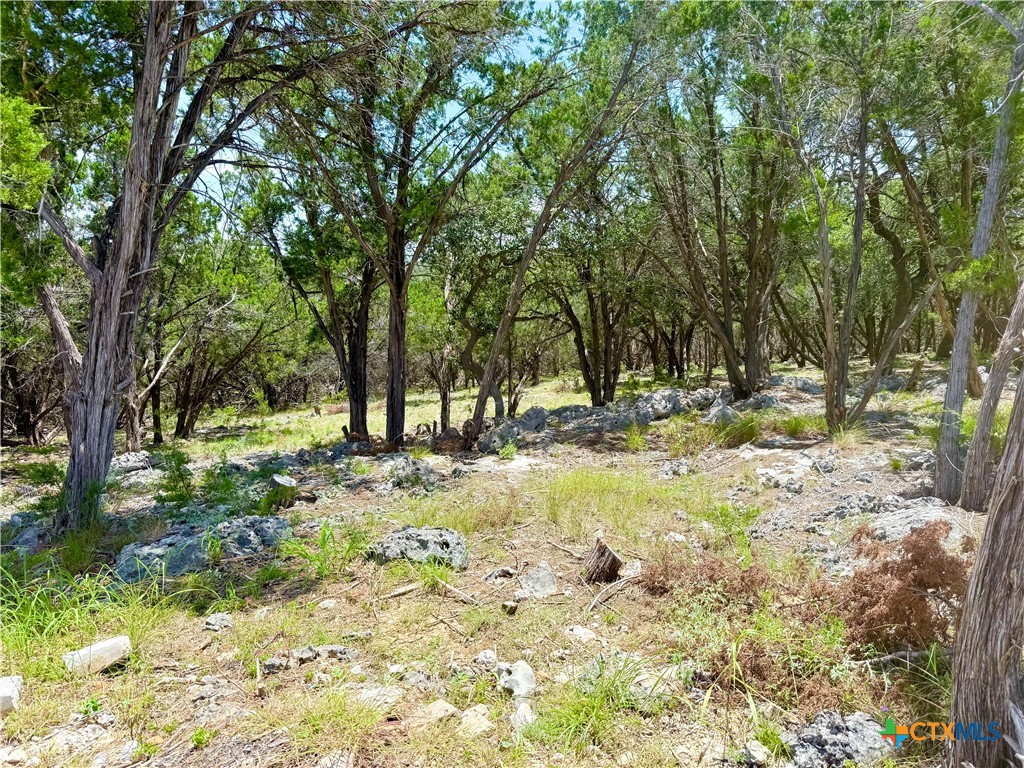 5663 Basilone Ridge, New Braunfels, TX 78132 — photo 1